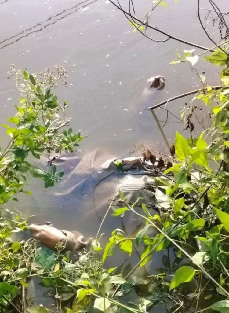 Hiện trường vụ việc